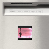 van elkaar houden magneet (Insitu (Vaatwasser))