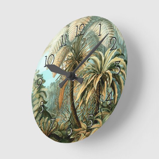  van Ernst Haeckel's Filicinae (Tree Ferns) Ronde Klok (Hoek)