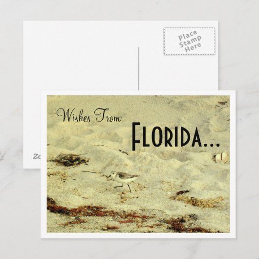 Van, Florida.. Briefkaart (Voorkant / Achterkant)