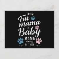 Van Fur Mama tot Baby Mama Geschat 2025 Hond Kat M