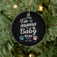 Van Fur Mama tot Baby Mama Geschat 2025 Hond Kat M