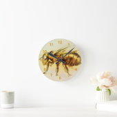  van geel Hornet, realistische ketch Ronde Klok (Huis)