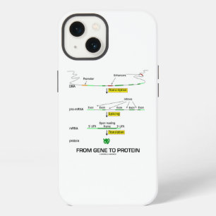 Van gen naar eiwit Moleculaire biologie iPhone 13 Hoesje