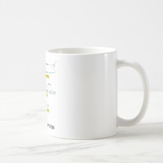 Van genen naar eiwit koffiemok (Rechts)