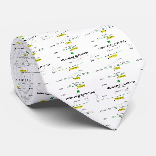 Van genen naar eiwit stropdas (Opgerold)