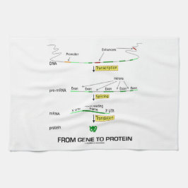 Van genen naar eiwit theedoek