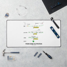 Van genen tot eiwit moleculaire biologie bureaumat