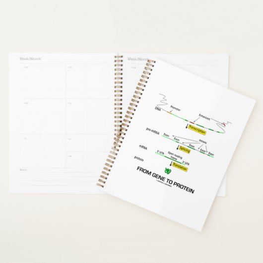 Van genen tot eiwit moleculaire biologie planner (Display)