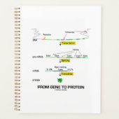 Van genen tot eiwit moleculaire biologie planner (Voorkant)