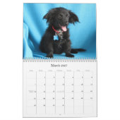 Van gevaar naar veilige handen kalender (Mar 2027)