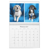 Van gevaar naar veilige handen kalender (Feb 2027)