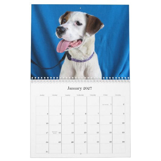 Van gevaar naar veilige handen kalender (Jan 2027)
