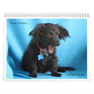 Van gevaar naar veilige handen kalender