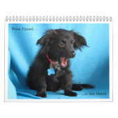 Van gevaar naar veilige handen kalender (Hoes)