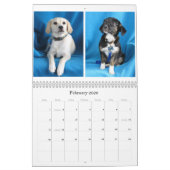 Van gevaar naar veilige handen kalender (Feb 2026)