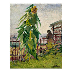 Van Gogh - Alloment met Zonnebloem Perfect Poster