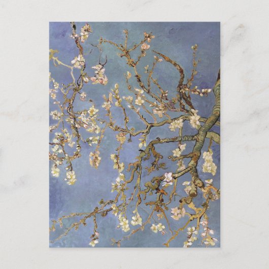 Van Gogh Almond Blossom Briefkaart (Voorkant)