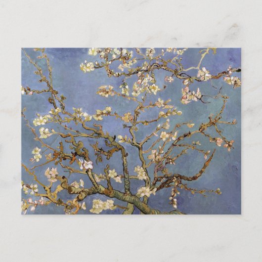 Van Gogh Almond Blossom Briefkaart (Voorkant)