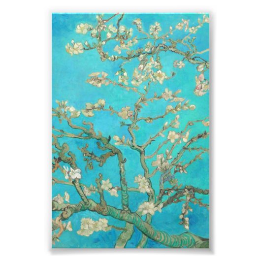 Van Gogh Almond Blossom Foto Afdruk (Voorkant)