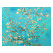 Van Gogh Almond Blossom Foto Afdruk (Voorkant)