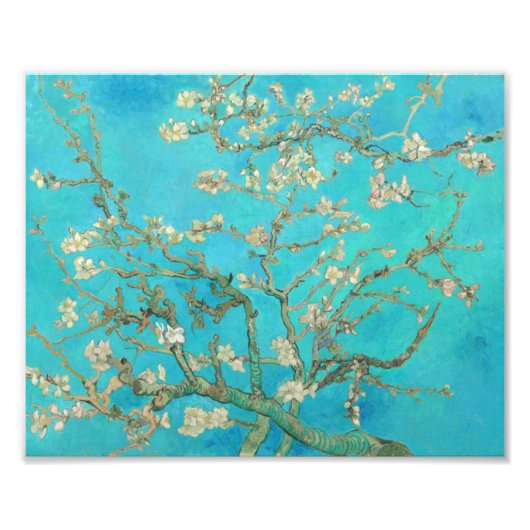 Van Gogh Almond Blossom Foto Afdruk (Voorkant)
