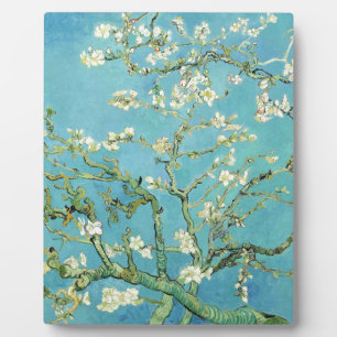 Van Gogh Almond Blossom Fotoplaat