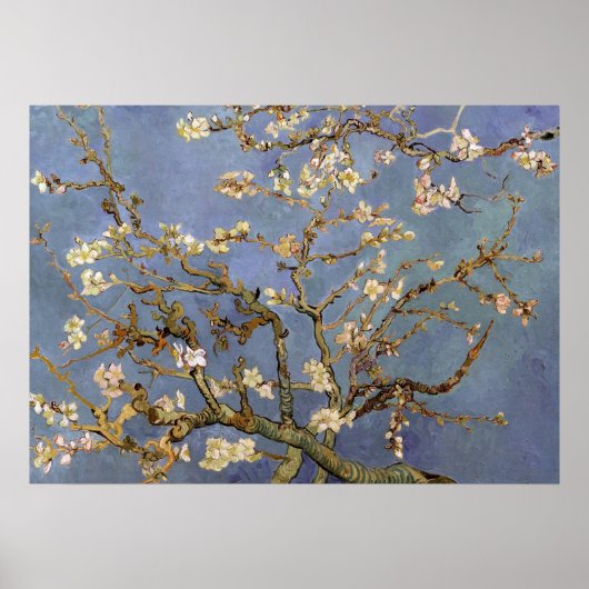 Van Gogh Almond Blossom Painting Poster (Voorkant)