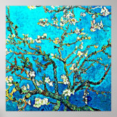 Van Gogh - Almond Blossom Poster (Voorkant)