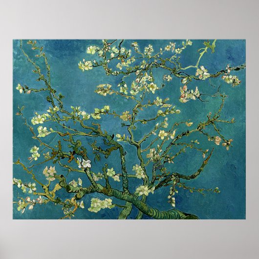 Van Gogh Almond Blossom Poster (Voorkant)