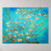 Van Gogh Almond Blossom Poster (Voorkant)