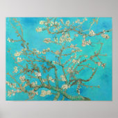 Van Gogh Almond Blossom Poster (Voorkant)