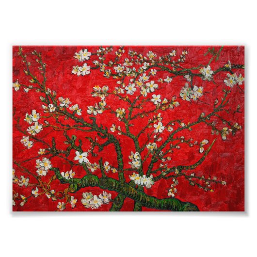 Van Gogh Almond Blossom Red Foto Afdruk (Voorkant)