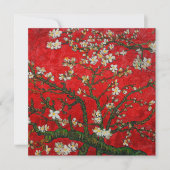 Van Gogh Almond Blossom Red Kaart (Voorkant)