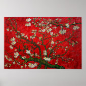 Van Gogh Almond Blossom Red Poster (Voorkant)