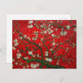 Van Gogh Almond Blossoms Red Briefkaart (Voorkant / Achterkant)