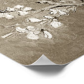 Van Gogh Almond Branches in Bloom - Sepia Poster (Hoek)
