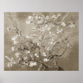 Van Gogh Almond Branches in Bloom - Sepia Poster (Voorkant)