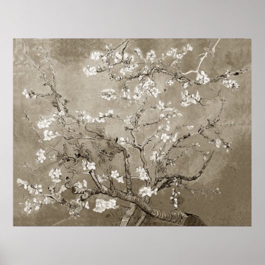 Van Gogh Almond Branches in Bloom - Sepia Poster (Voorkant)