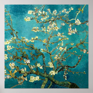 Van Gogh Amandelbloesem Klassiek Impressionisme Poster