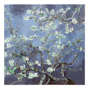 Van Gogh Amandelbloesem Staalblauw Perfect Poster