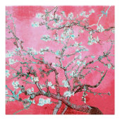 Van Gogh Amandelbloesems roze blauw Perfect Poster (Voorkant)