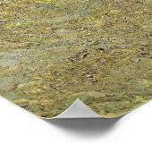 Van Gogh - Amandelboom in bloei Poster (Hoek)