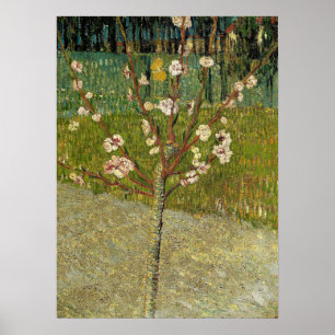 Van Gogh - Amandelboom in Blossom Poster
