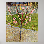 Van Gogh - Amandelboom in Blossom Poster (Voorkant)