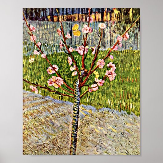Van Gogh - Amandelboom in Blossom Poster (Voorkant)