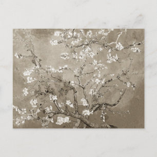 Van Gogh Ammond Branches in Bloom - Sepia Briefkaart