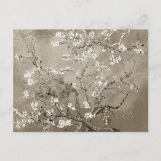 Van Gogh Ammond Branches in Bloom - Sepia Briefkaart
