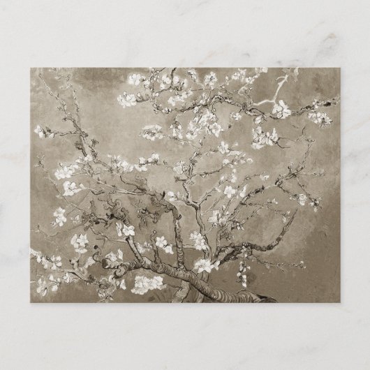 Van Gogh Ammond Branches in Bloom - Sepia Briefkaart (Voorkant)
