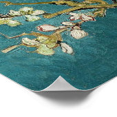 Van Gogh Ammontak in Bloom Poster (Hoek)