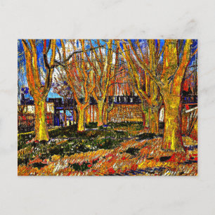 Van Gogh - Avenue of Plane Trees Briefkaart